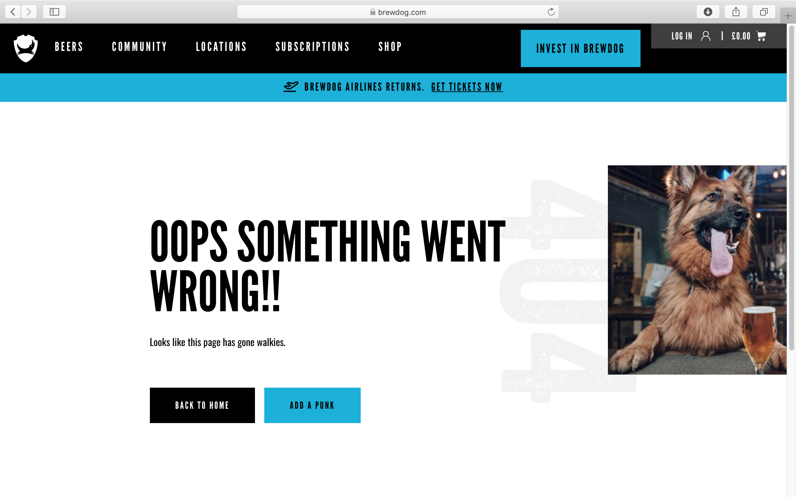 Brewdog 404 error page